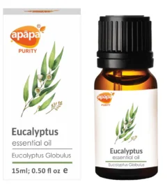 eucalyptus